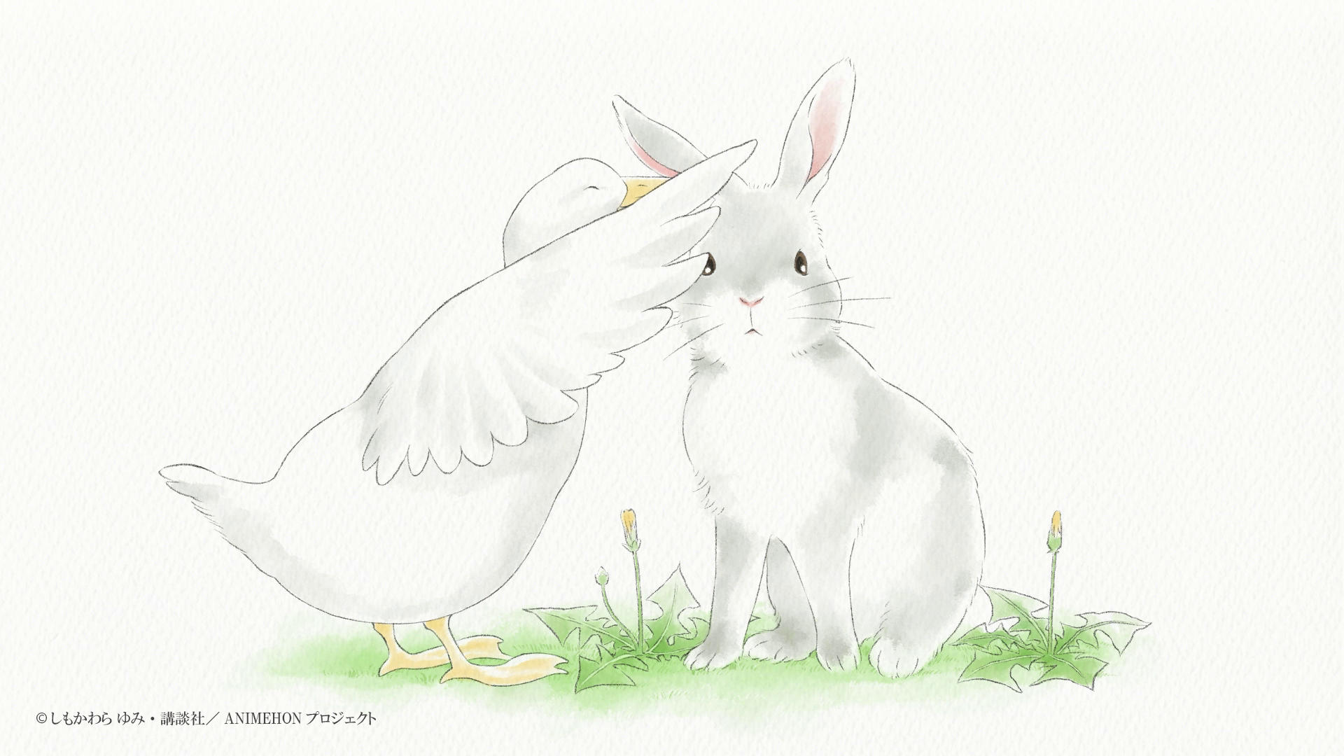 「アニエホン『ねえねえ あのね』」