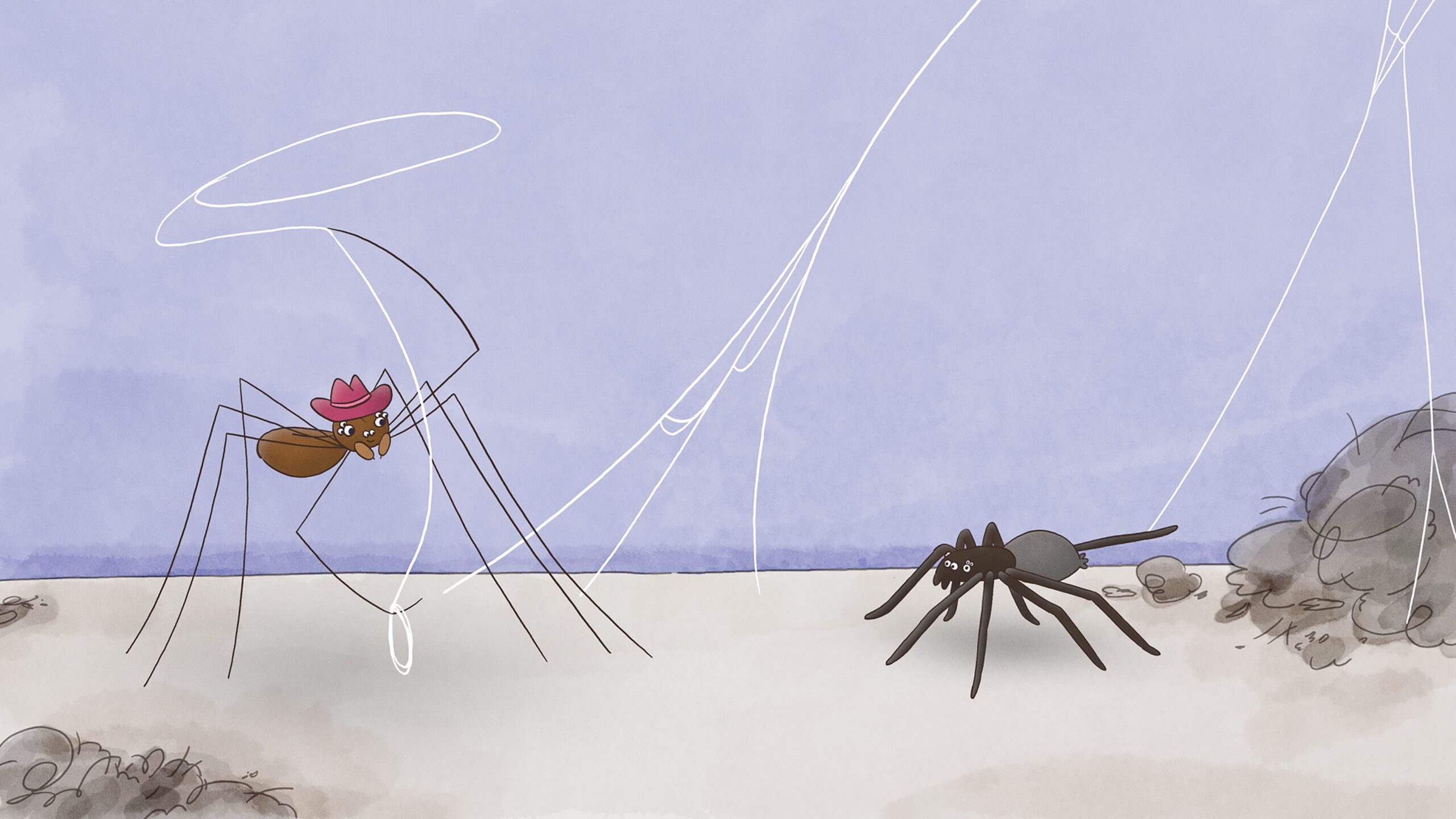 クモさんのふしぎ